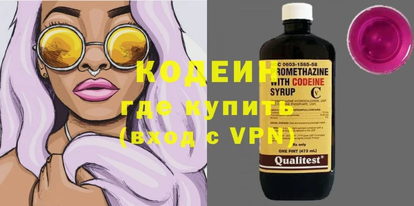ПСИЛОЦИБИНОВЫЕ ГРИБЫ Арсеньев