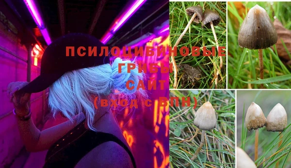 прущая мука Армянск