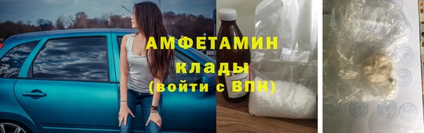 ПСИЛОЦИБИНОВЫЕ ГРИБЫ Арсеньев