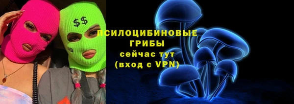 прущая мука Армянск