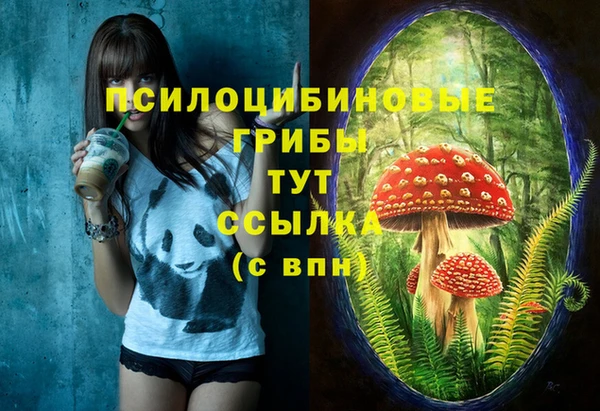 прущая мука Армянск
