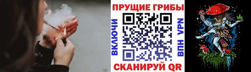 дарнет шоп  Оханск  Псилоцибиновые грибы Psilocybine cubensis 